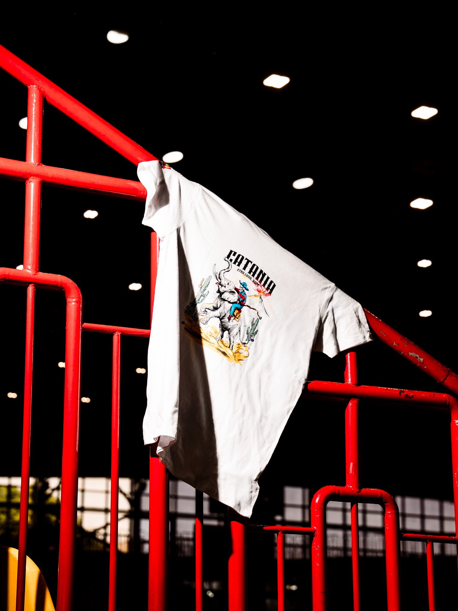 DSC_9642 ETNA, LAVA, HOPE - META CATANIA COLLECTION